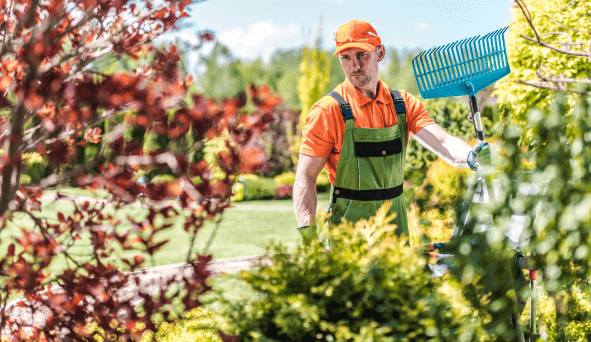 Imagem sobre <span>Nossa equipe de profissionais especializados irá cuidar de cada detalhe, desde a manutenção do jardim até a criação de áreas verdes impressionantes. </span>