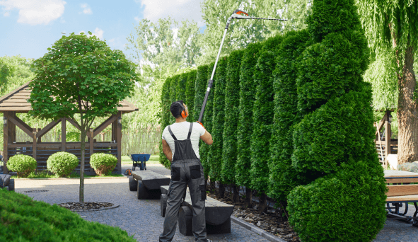 Imagem sobre <span>Explore os serviços de Asseio e Conservação do Grupo Protemaxi, e descubra como podemos ser a chave para impulsionar o seu negócio.</span>